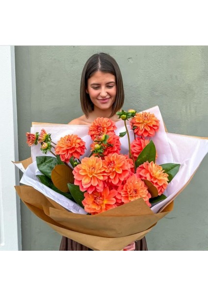 Aynı Sene Çiçek Açar Dev İri Çiçekli Au. Sunhorst Dahlia Yumrusu (1 Adet)