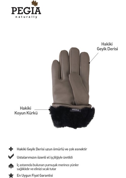 İçi Kürklü Deri Kadın Eldiven 24EL02 fiyatları