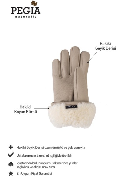 İçi Kürklü Deri Kadın Eldiven 24EL02 fiyatları