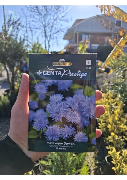 Çiçek Tohumu Mavi Vapur Dumanı Genta Prestige fiyatları