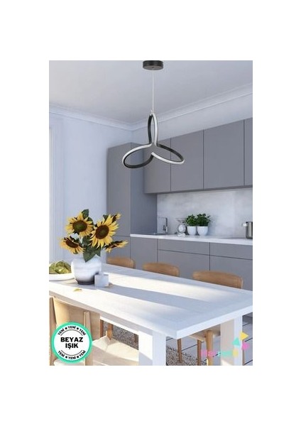 Modern Ledli Avize