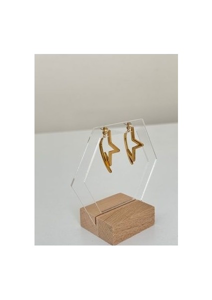 Çelik Gold Yıldız Küpe – Çift Taraflı Tasarım modelleri