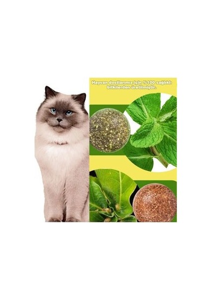 Avokado Catnip Avokado Kedi Otu Topu Avokado Kedi Nanesi Oyuncağı