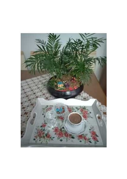 Ahşap El Boyaması Tepsi 28X36 cm fiyatları