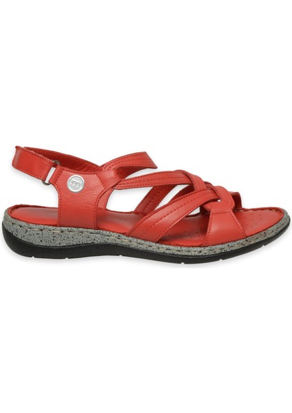 D25YS-2530 Günlük Kadın Sandalet