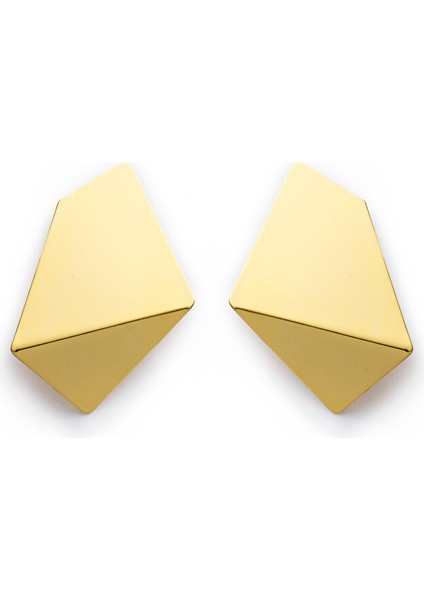Geometrik Formlu Metal Küpe TS1250068067265