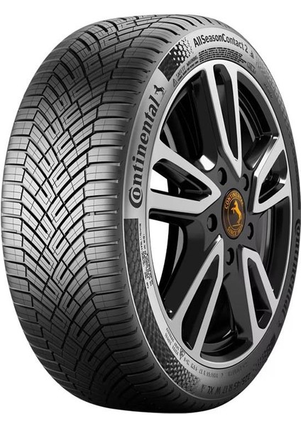 215/55 R17 94V All Season Contact 2 Oto Dört Mevsim Lastik (Üretim YILI:2025 )