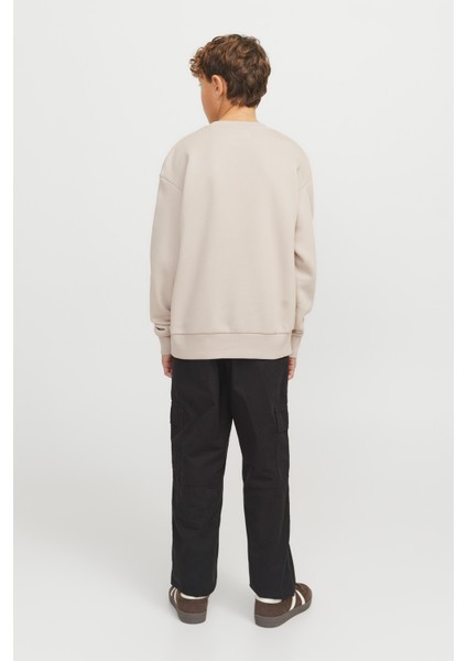 Jjtaka Sweat Crew Neck Jn Krem Erkek Çocuk Sweatshirt