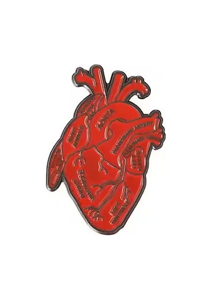 Kalp Şeklinde Medikal Broş P0649