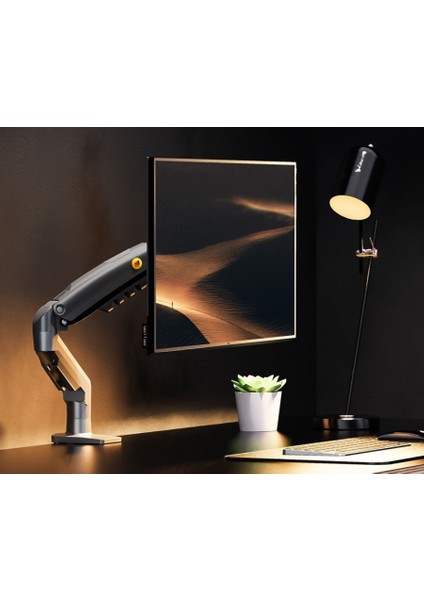 North Bayou F80 17"-30" Amortisörlü 2-9 kg Monitör Standı Yeni Tasarım 2025 Gray Edition