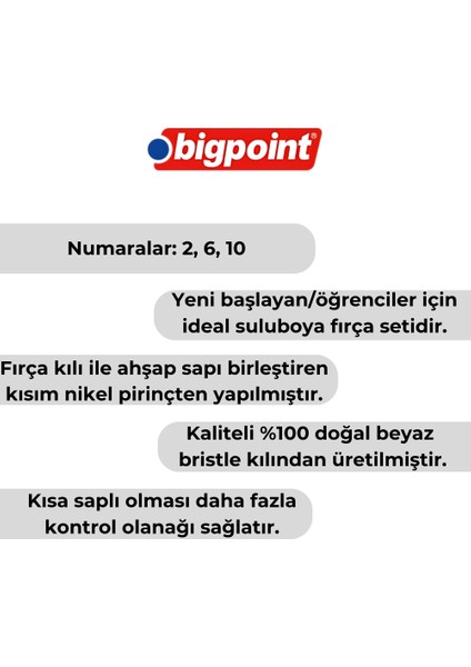 | 358F Serisi Düz Kesik Fırça Seti, 3'lü, No: 2, 6, 10, %100 Doğal Beyaz Bristle Kıl modelleri