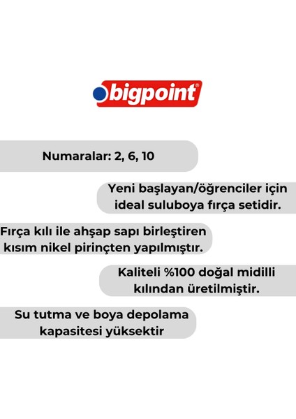 | 145 Serisi Yuvarlak Fırça Seti, 3'lü, No: 2, 6, 10, %100 Doğal Midilli Kılı modelleri