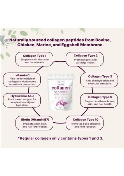 Multi Collagen Protein 907 gr modelleri