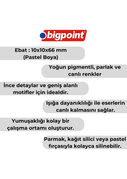 | Artists's Toz (Soft) Pastel Boya Seti, 12 Renk, Yoğun Pigmentli, Parlak ve Canlı Renkler