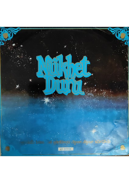 Nükhet Duru - Ne Oldu Bize Maxi Lp - Yerli 33'lük Plaklar
