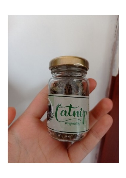 Doğal Kedi Otu - Kedi Nanesi