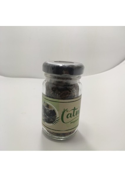 Catnip Doğal Kedi Otu - Kedi Nanesi
