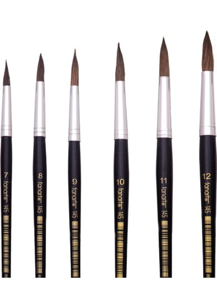 Academy Seri 145 Midilli Kılı Fırça Seti Yuvarlak Uç No:7-8-9-10-11-12 36 Lı (7145.S3) fiyatları