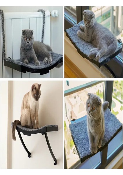 Kedi Yatağı
