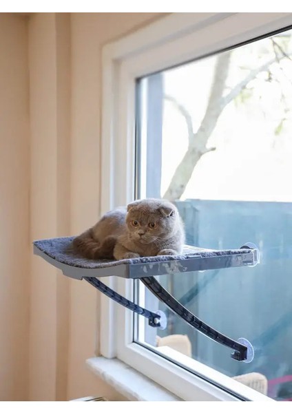 Kedi Yatağı Cam Ve Duvar