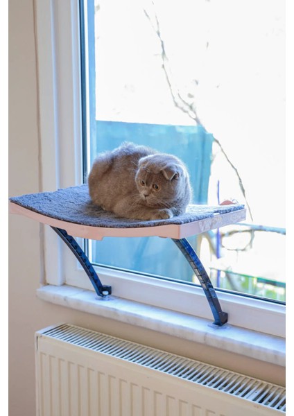 Kedi Yatağı Cam Ve Duvar