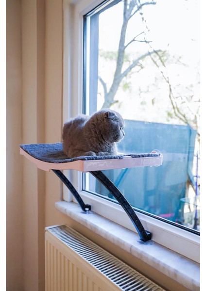 Kedi Yatağı Cam Ve Duvar