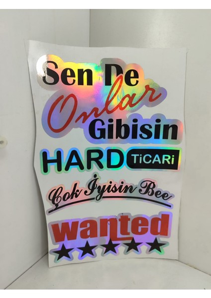 Hologram Arka Cam Sticker Etiket Model 005