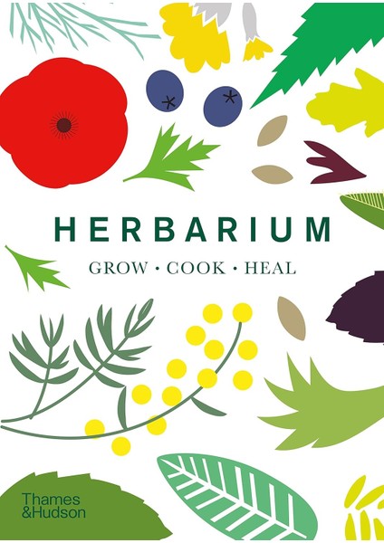 Herbarium / One Hundred Herbs · Grow · Cook · Heal - Caz Hildebrand
