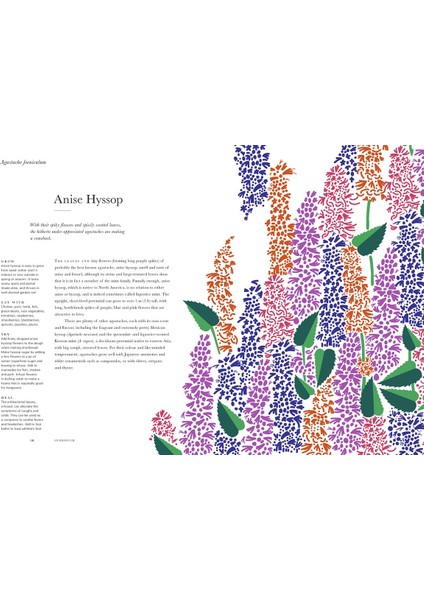 Herbarium / One Hundred Herbs · Grow · Cook · Heal - Caz Hildebrand indirimleri