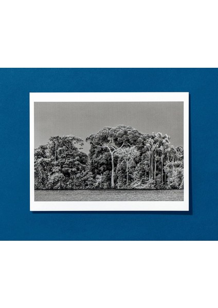 Sebastião Salgado. Amazônia. Postcard Set indirimleri
