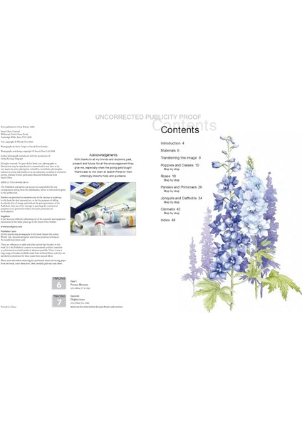 Watercolour Flowers (Ready To Paint) - Wendy Tait fiyatları