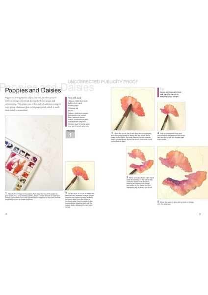 Watercolour Flowers (Ready To Paint) - Wendy Tait fırsatları