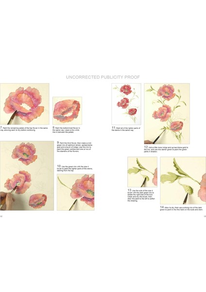 Watercolour Flowers (Ready To Paint) - Wendy Tait indirimleri