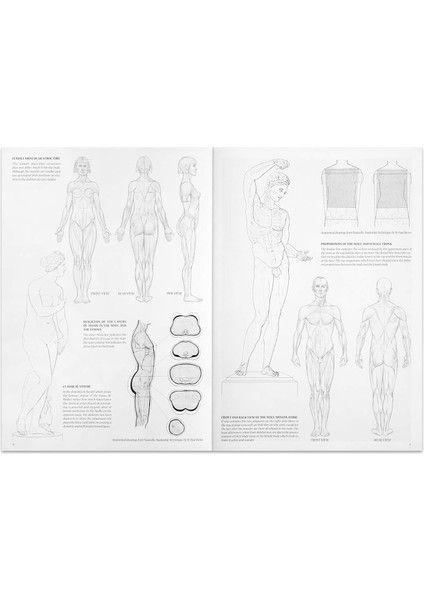 Nudes Çıplak Çizim N9 - Vinciana Editrice modelleri