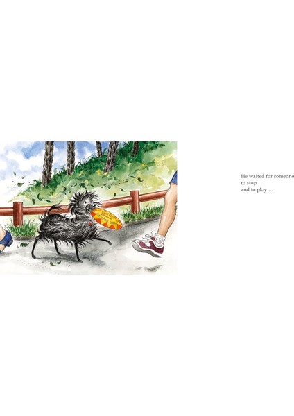 Hairy Maclary's Hat Tricks - Lynley Dodd fırsatları