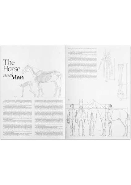 Horses And Riders Atlar ve Jokeyler N/11 - Vinciana Editrice fiyatları