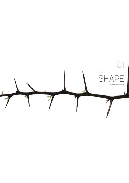 Biomimetics For Designers / Applying Nature's Processes & Materials In The Real World - Veronika Kapsali