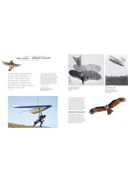 Biomimetics For Designers / Applying Nature's Processes & Materials In The Real World - Veronika Kapsali