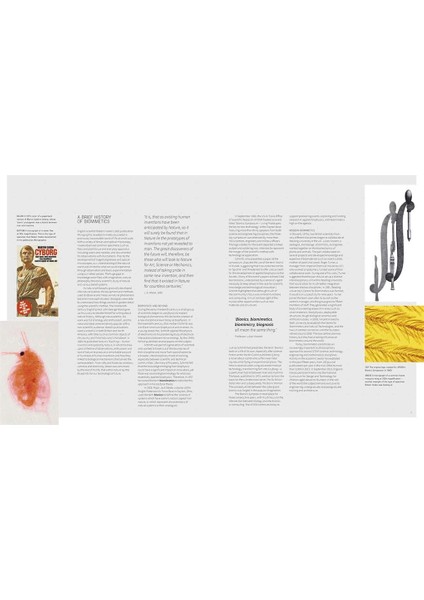 Biomimetics For Designers / Applying Nature's Processes & Materials In The Real World - Veronika Kapsali