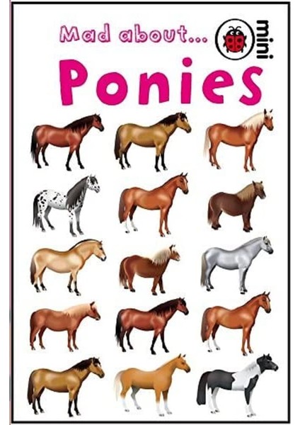 Mad About Ponies - Ladybird