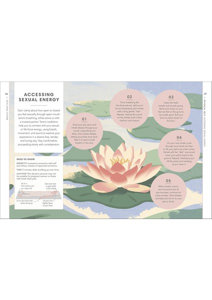 Breathwork / Use The Power Of Breath To Energise Your Body And Focus Your Mind - Nathalia Westmacott-Brown indirimleri