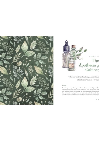 The Witch's Apothecary / Seasons Of The Witch / Learn How To Make Magical Potions Around The Wheel Of The Year To Improve Your Physical And Spiritual Well-Being. - Lorriane Anderson