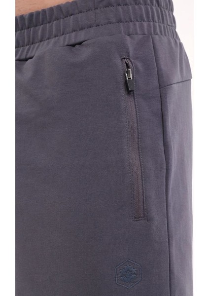 CT103 Basic Short 5fx Gri Erkek Şort 101939490