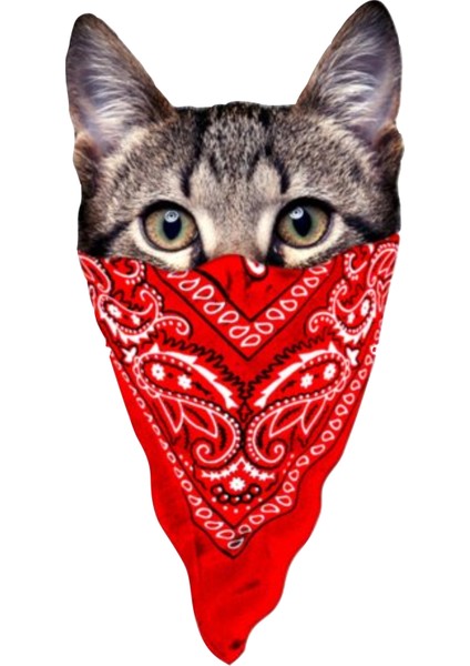 9 x 4,5 cm Kedi Cat Oto Cam Motor Laptop Telefon Sticker