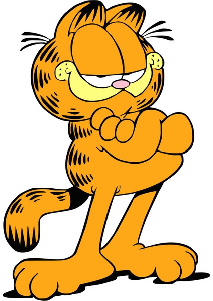 11,5 x 8 cm Garfield Kedi Cat Oto Cam Araba Telefon Laptop Sticker