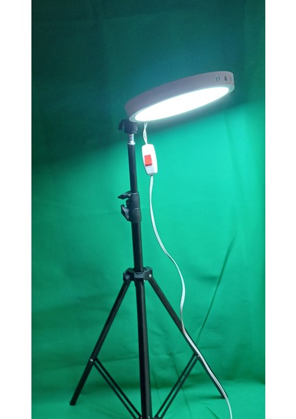 Ayaklı Beyaz LED Işık