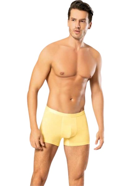Erkek Dude Ince Bel Lastikli Likralı Boxer 1200