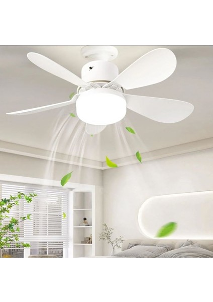 CT-1154 Lodos Fan ve LED Ampul 62W Dimmerli