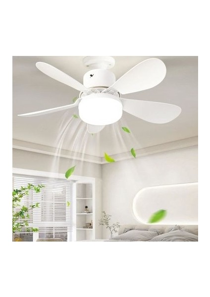 CT-1155 Karayel Fan ve LED Ampul Dimmerli 82 W