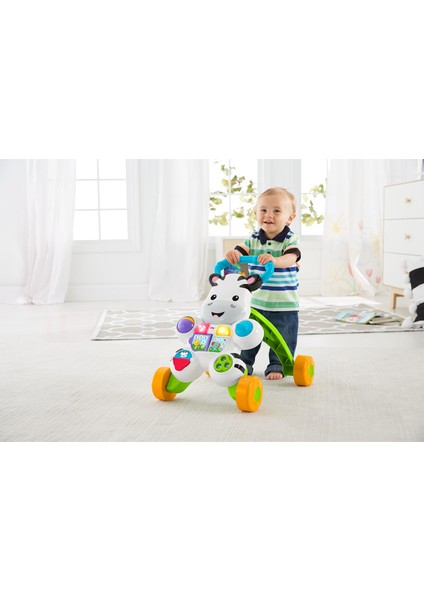 DLD80 Melodili Zebra Yürüteç fiyatları